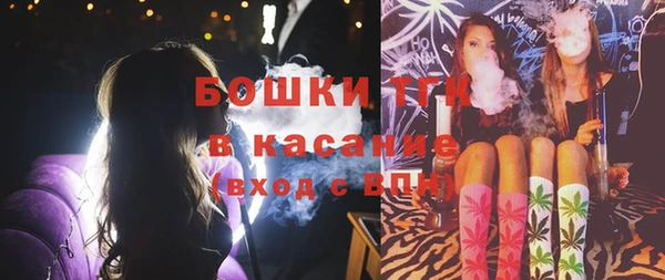 сатива Фёдоровский